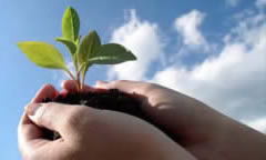 Mitigating Environmental Impact to Make the World Greener