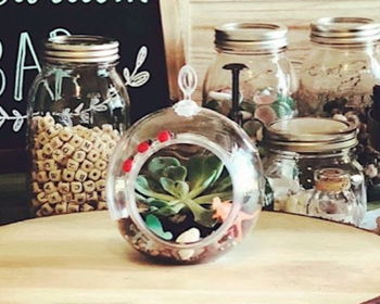 Terrarium Workshop at Miss M's
