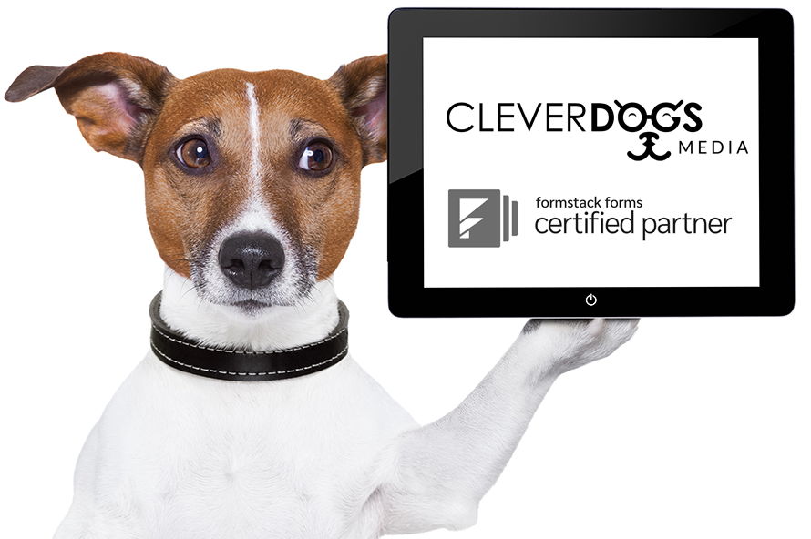 Clever Dogs Media Indianapolis