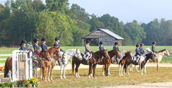 Henry County Saddle Club Volunteer Day Image for Henry County Saddle Club Volunteer Day
