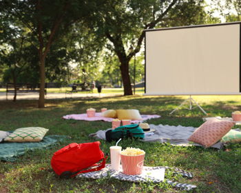 Movies in the Park