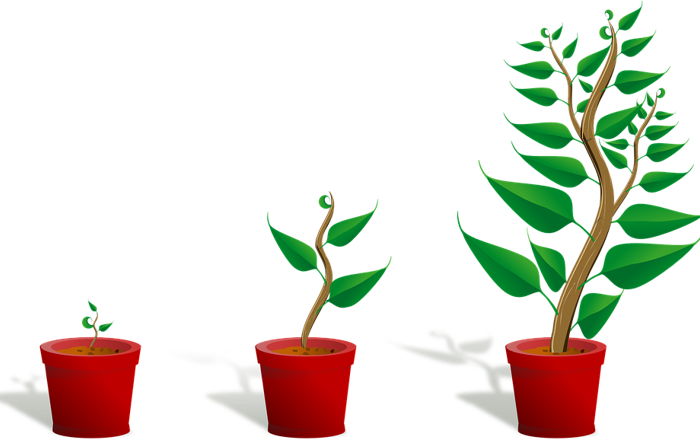 E105: Growing Organically (VisionEdge Marketing) Image for E105: Growing Organically (VisionEdge Marketing)