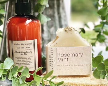 Goat Milk Lotion Making Class