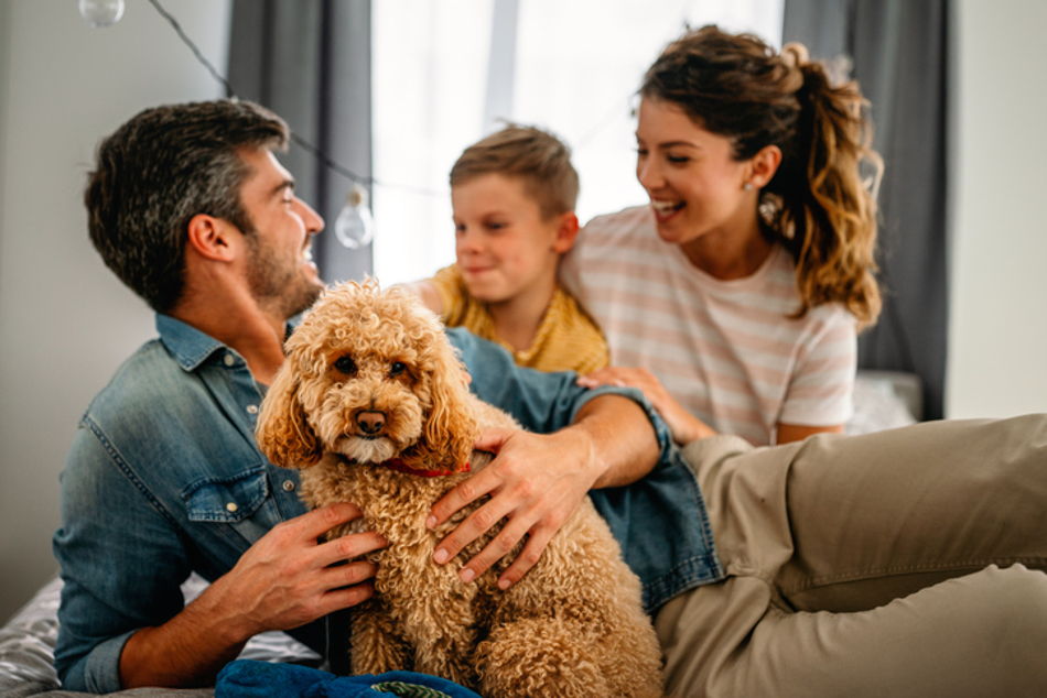 Image for I am not old, why should I consider having an estate plan?