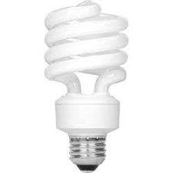 The Proper Disposal of Light Bulbs