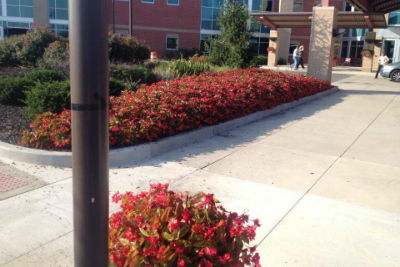 Image of landscape outside a building