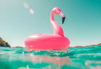 Image for Financial Tips for Stress-Free Vacation Planning