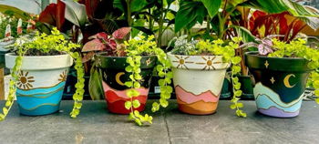 Sunny Lawn Farms Paint & Plant Workshop