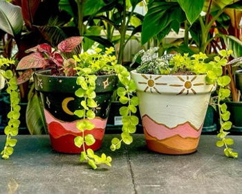 Sunny Lawn Farms Paint & Plant Workshop