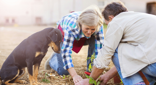 Image for 8 Smart Investment Principles That Help Your Wealth Bloom