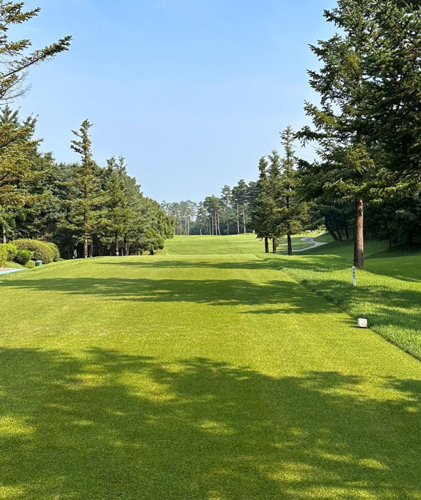 image for Don't Wait Until The Tee Box