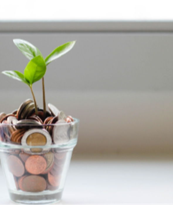 image for Maximizing your use of the AbbVie 401(k) Savings Plan