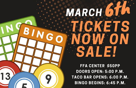 Image for Basket Bingo Returns March 6