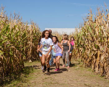48 Hours in Festival Country This Fall