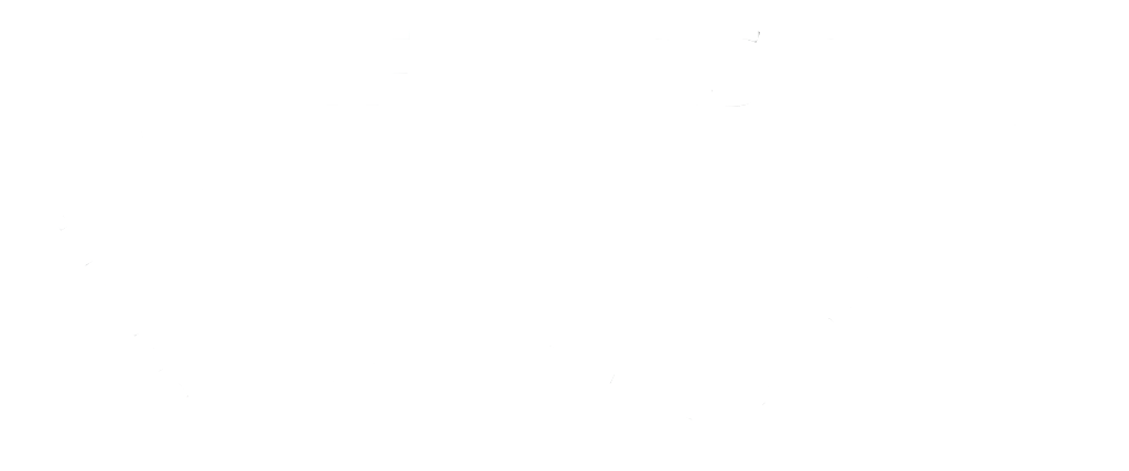 Logo for LifeFirst Wealth