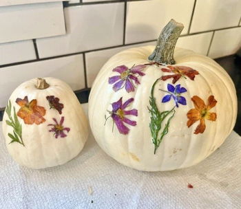 DIY Pressed Floral Pumpkins at Two Trees Flower Farm DIY Pressed Floral Pumpkins at Two Trees Flower Farm