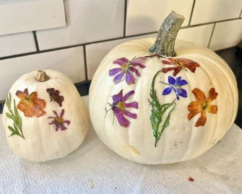 DIY Pressed Floral Pumpkins at Two Trees Flower Farm DIY Pressed Floral Pumpkins at Two Trees Flower Farm