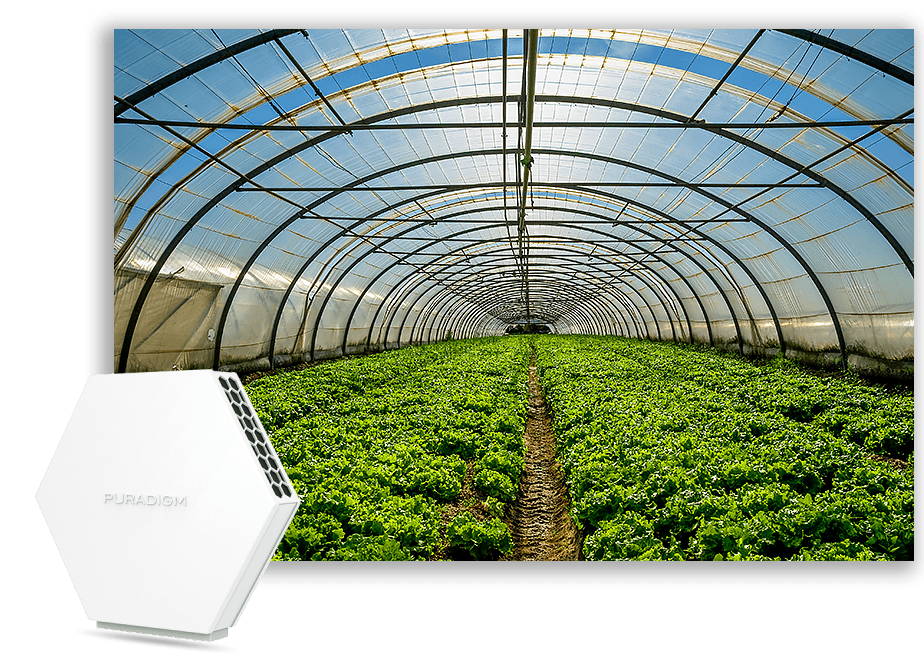 Puradigm Grow Puradigm Grow Air Purification