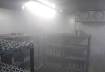 Proper Concrete Storage Moist Room Example