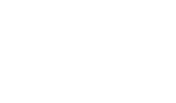 Image of the Trinity Logo