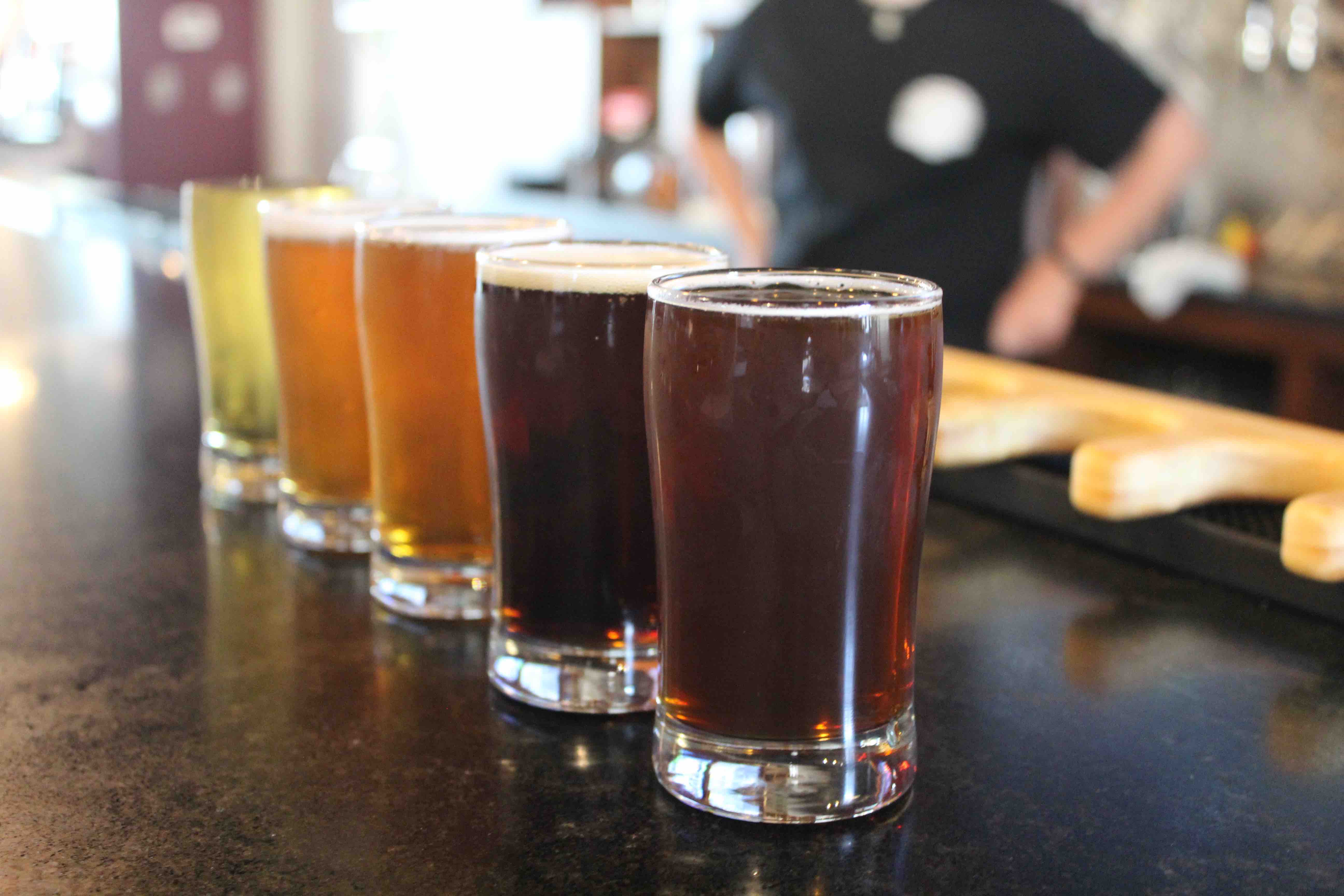 flight of craft beer