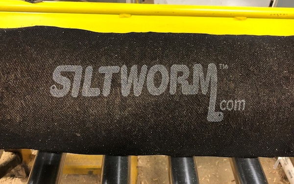 Siltworm Siltworm
