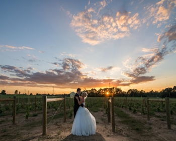 Wedding Vendor Open House Wedding Vendor Open House