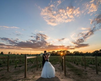 Wedding Vendor Open House Wedding Vendor Open House