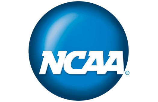 11 Elite Alumni and 1 Coach To Play in the NCAA Division III Tournament! Image for 11 Elite Alumni and 1 Coach To Play in the NCAA Division III Tournament!
