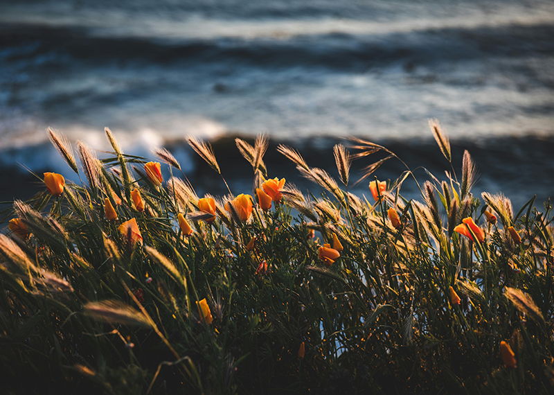 Image for Wealth Management