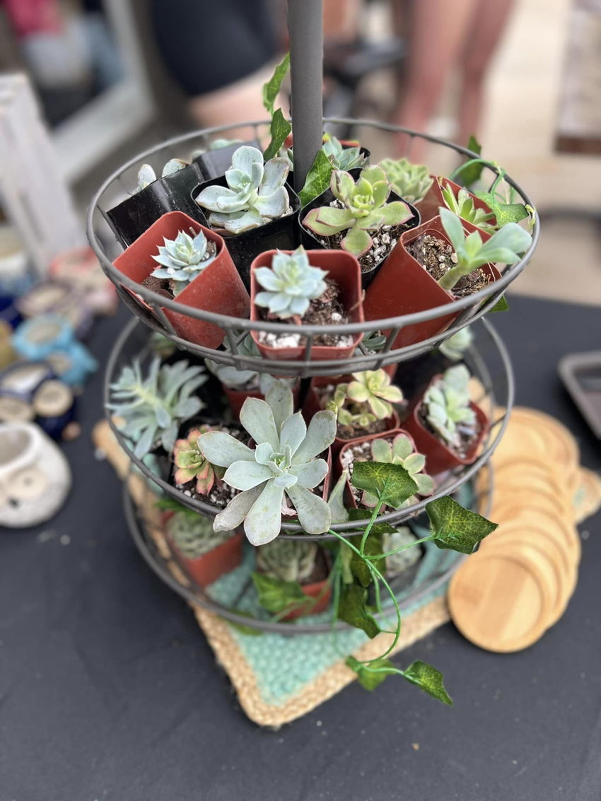 The Grove Botany Boutique