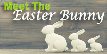 Meet the Easter Bunny Image for Meet the Easter Bunny