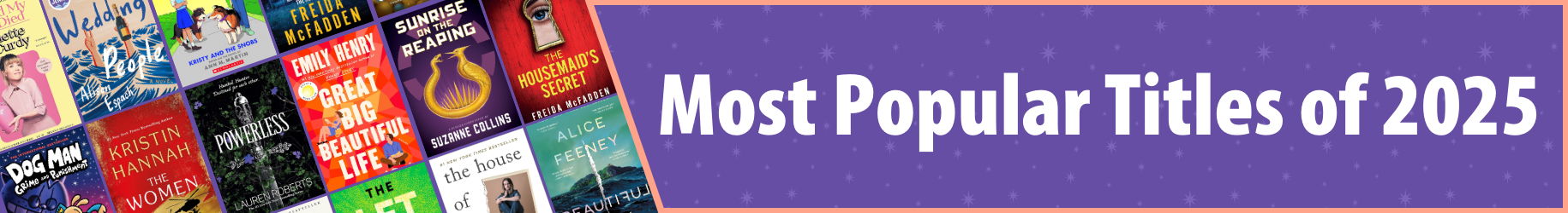 Popular Titles 2025 with example book covers