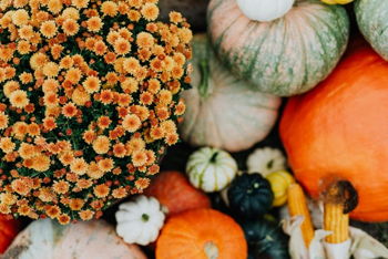 Fall Open House at Miss M's