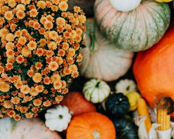 Fall Open House at Miss M's