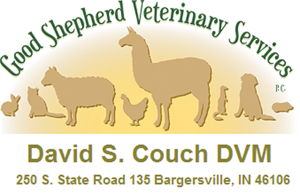 Logo for Good Shepherd Veterinary Services, P.C.
