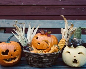 Pigs and Pumpkins Party at Woodside Pigs and Pumpkins Party at Woodside