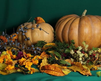 Free Community Thanksgiving Dinner
