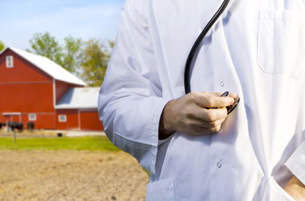 Image for Indiana Rural Health Association