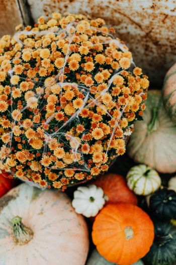 Fall Centerpiece Class with Steve's Flowers