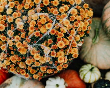 Fall Centerpiece Class with Steve's Flowers