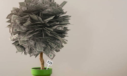 529s as an Estate Planning Tool