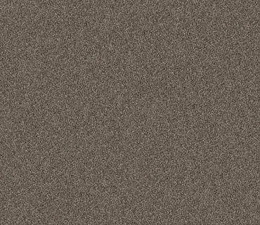"Yes You Can" Carpet - 00708 Urban Rustic