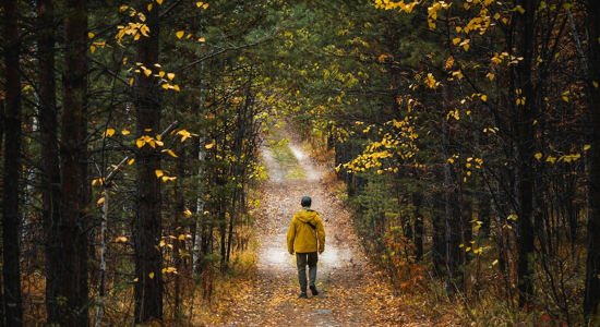 Image for 5 Financial Moves to Make Before December 31st (If You're Nearing Retirement)