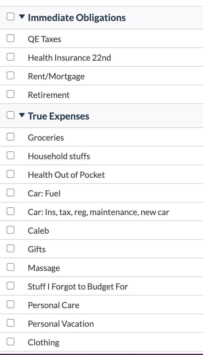 Immediate Obligations: QE Taxes, Health Insurance 22nd, Rent/Mortgage, Retirement. True Expenses:  Groceries, Household stuffs, Health Out of Pocket, Car: Fuel, Car: Ins, tax, reg, maintenance, new car, Caleb, Gifts, Massage, Stuff I Forgot to Budget For, Personal Care, Personal Vacation, Clothing