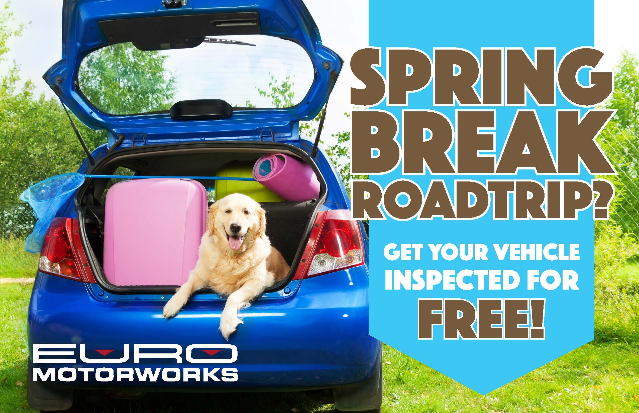 Spring Inspection 2019 dog ready for a roadtrip