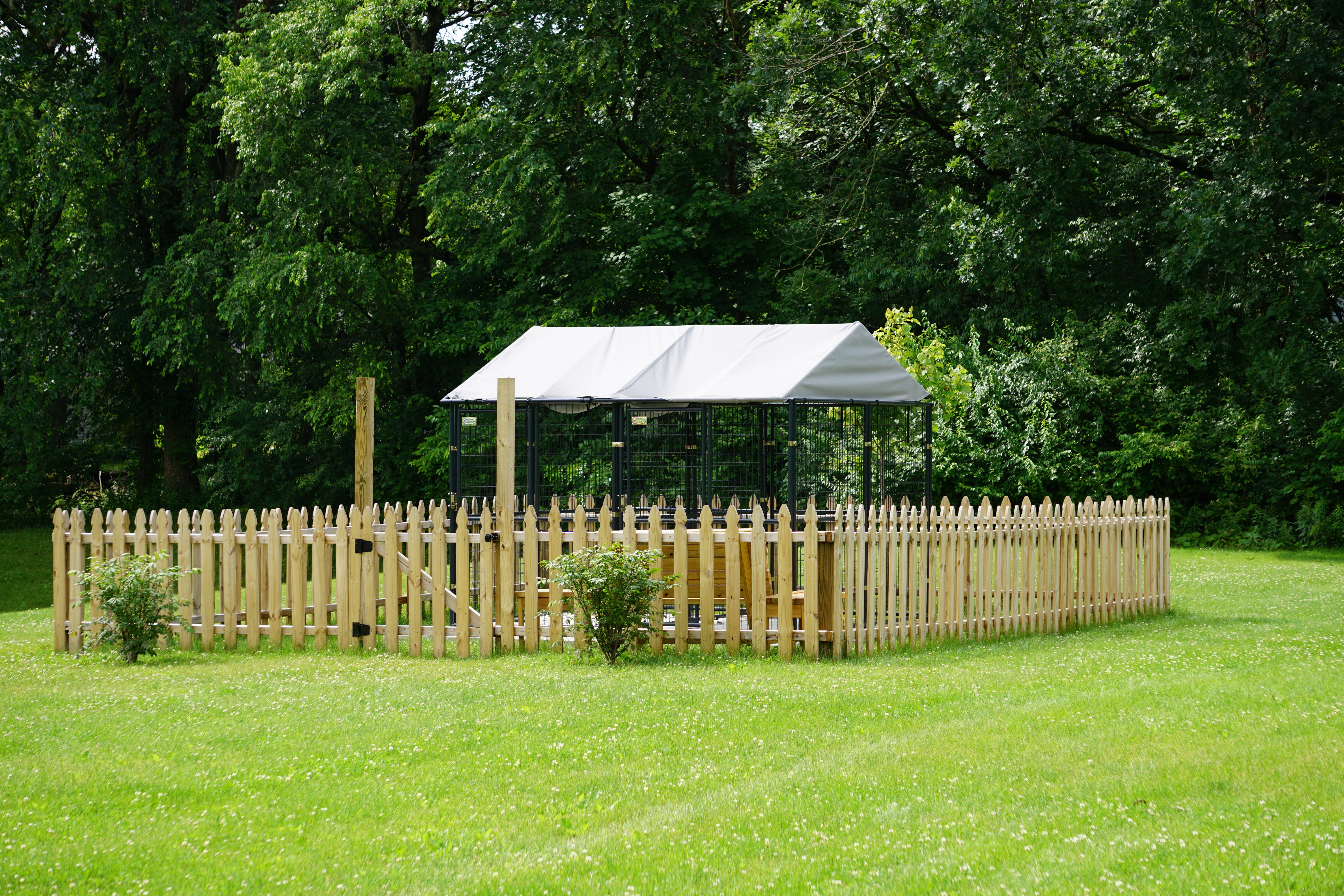 Image of outdoor kennel with short food fence surrounding it and green yard
