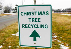 Christmas Tree Recycling at Local Parks Until Friday January 12th