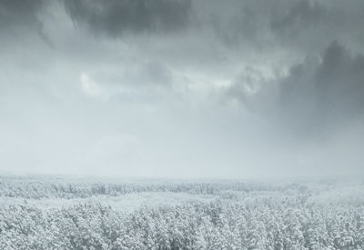 Image for Fourth Quarter 2025 Market Commentary- Market Strength Broadens