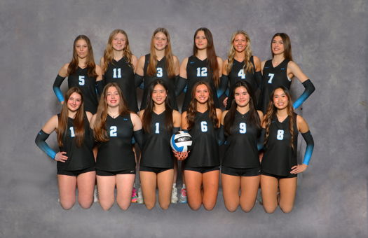 Image for VA Elite 17s Finish 5th Overall at JVA World Challenge